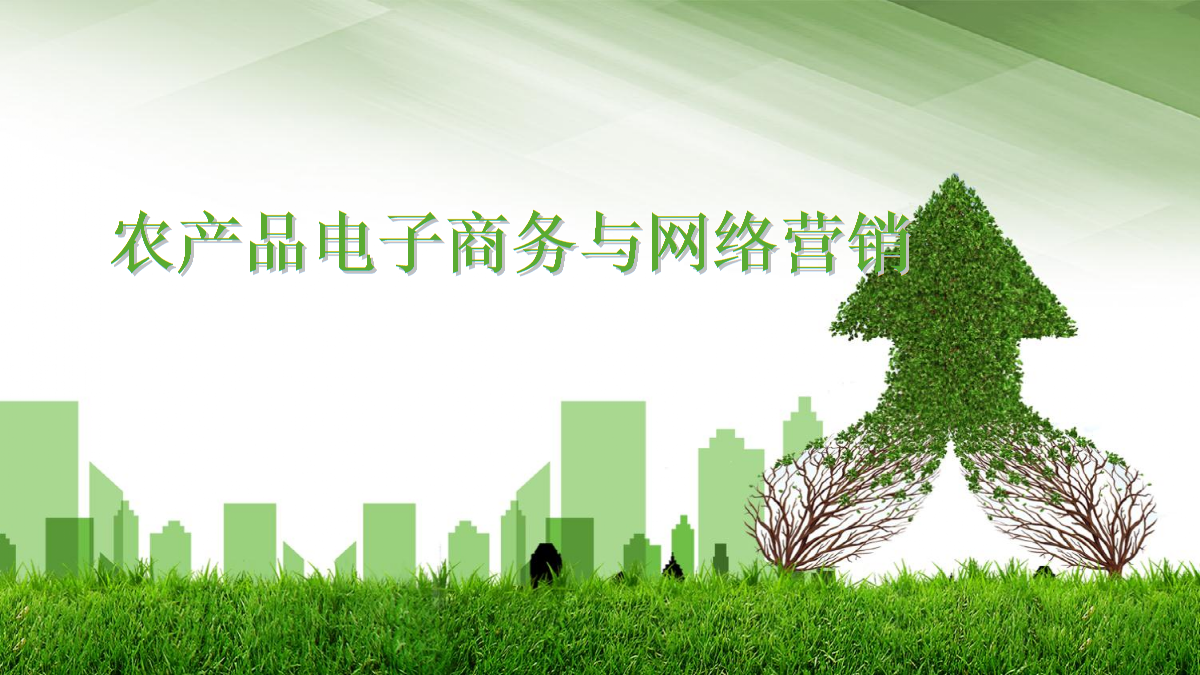 农产品电子商务与网络营销.ppt-全文可读
